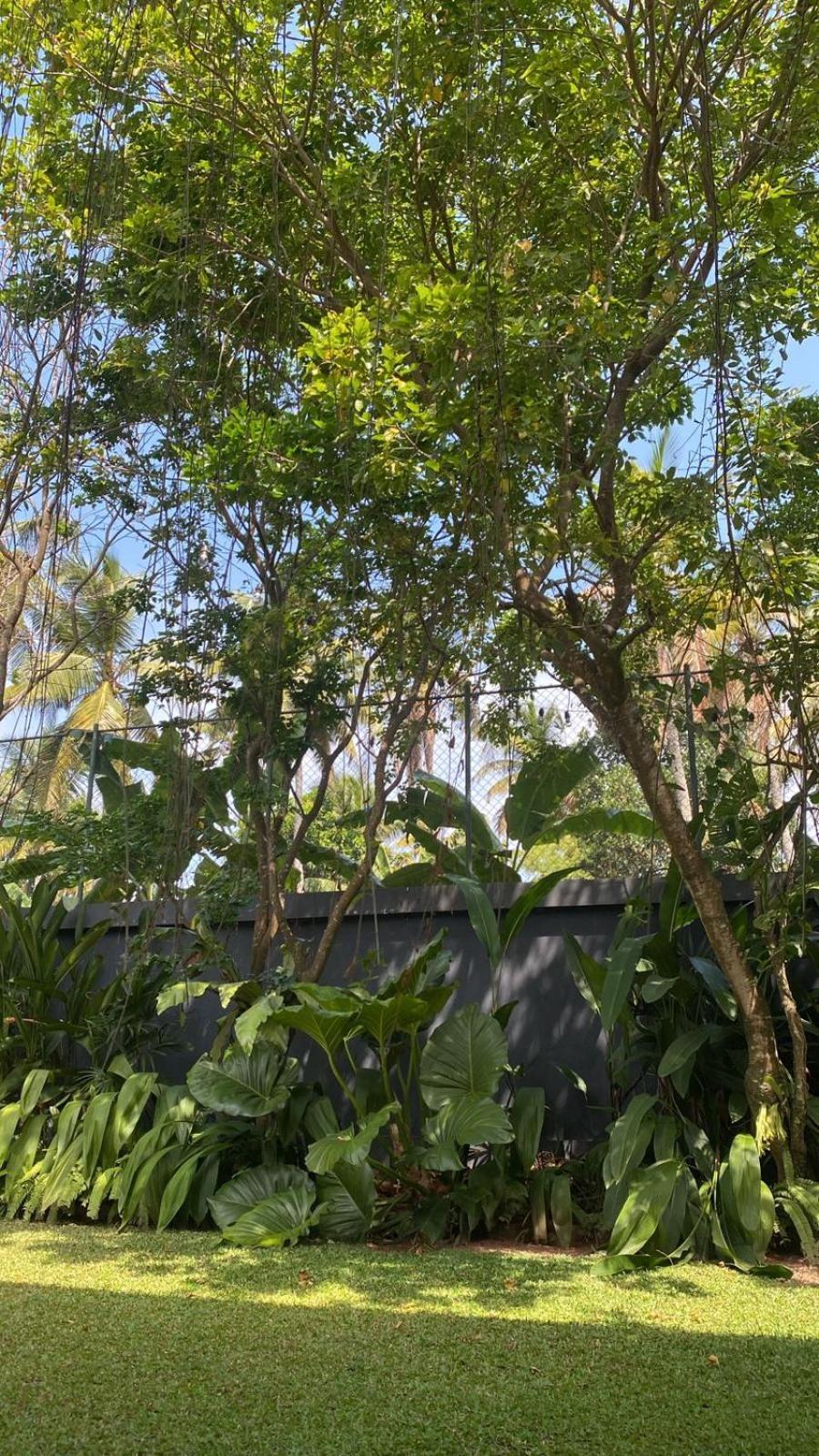 Lush Ayu Villa จา-เอลา ภายนอก รูปภาพ