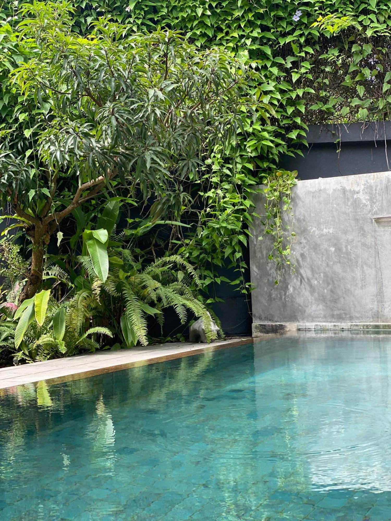 Lush Ayu Villa จา-เอลา ภายนอก รูปภาพ